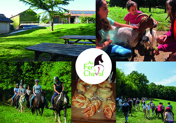 Au Fer à Cheval - Ferme Pédagogique et Equestre